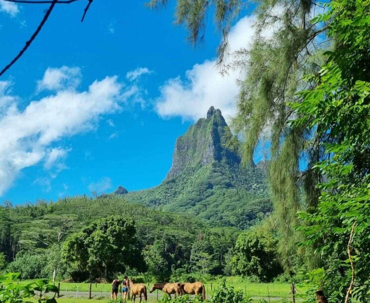 moorea mt Rotui moorea mt Rotui