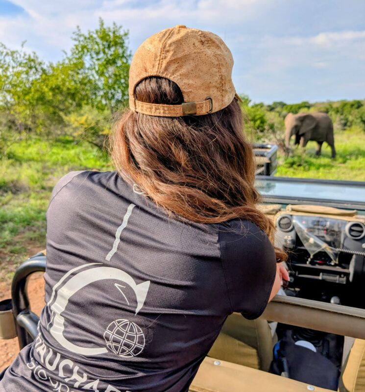 afrique du sud chauchard